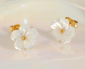 Shell Petal Studs & necklace